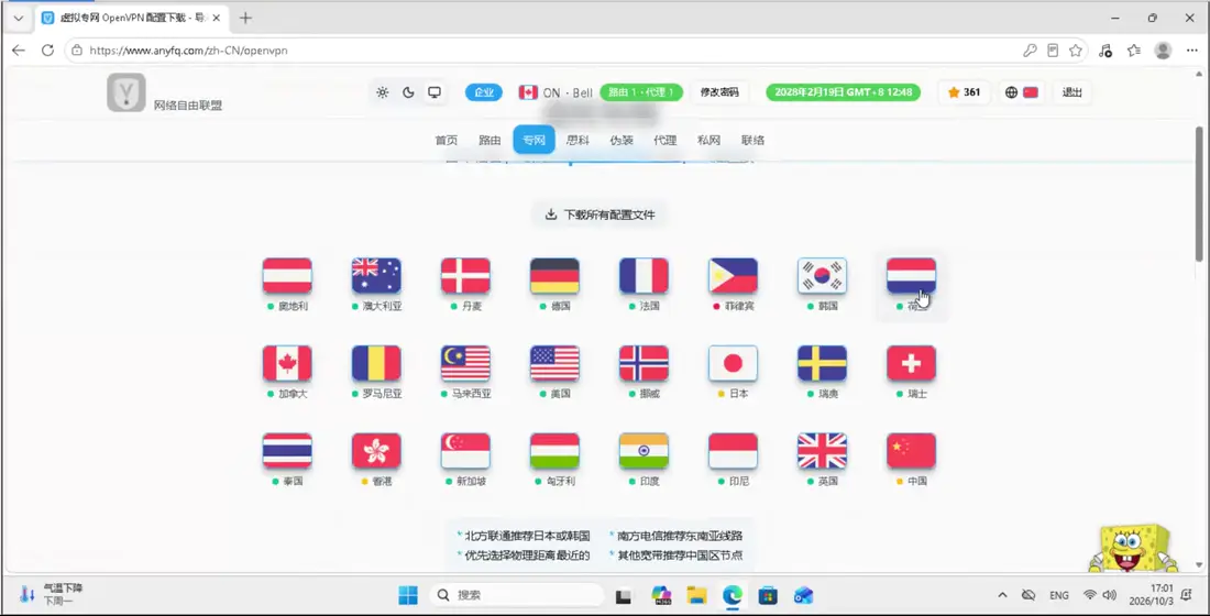 点导航里的专网，进入 OpenVPN 页面。